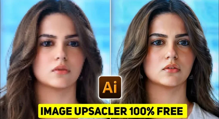 dacmef